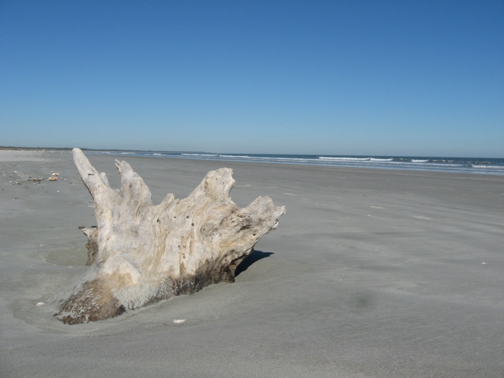 Cumberland island beaches